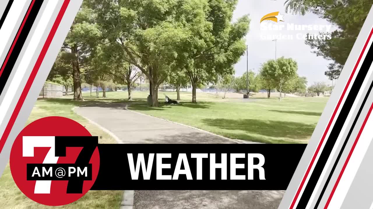 Saturday, expect plenty of sun